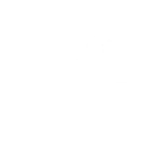 Cohesive IT Solutions - Professional IT Services